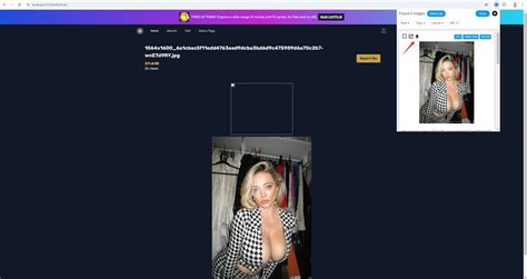bunkr albums|download bunkr album.